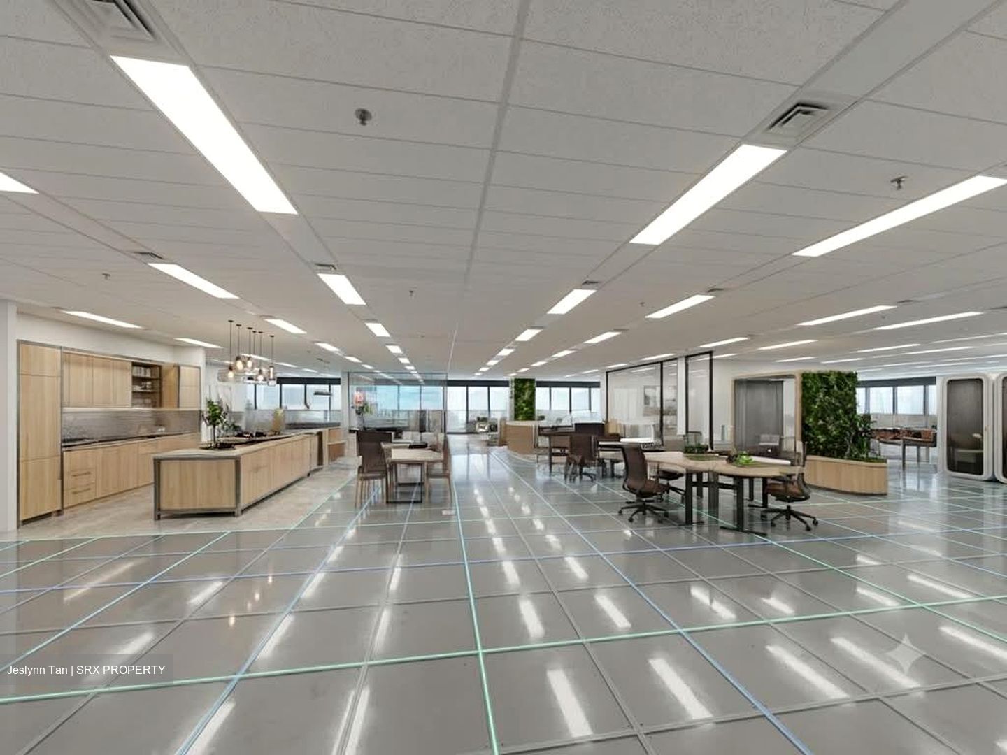 Robinson 77 (D1), Office #593488611